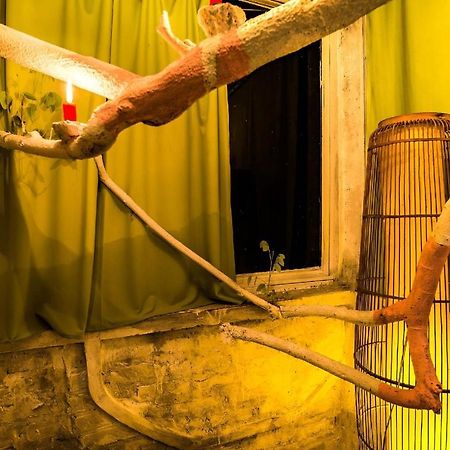 Dao Anh Khanh Tree House Hanoi Exterior foto