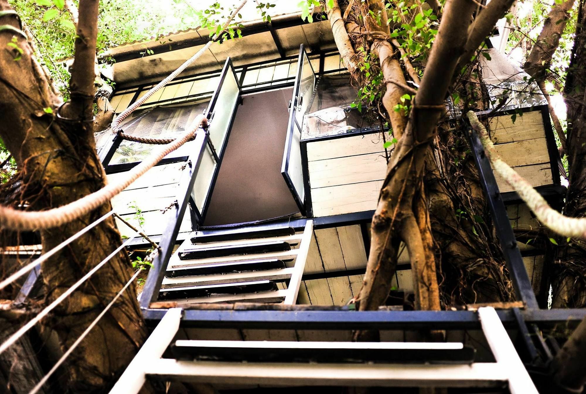 Dao Anh Khanh Tree House Hanoi Exterior foto